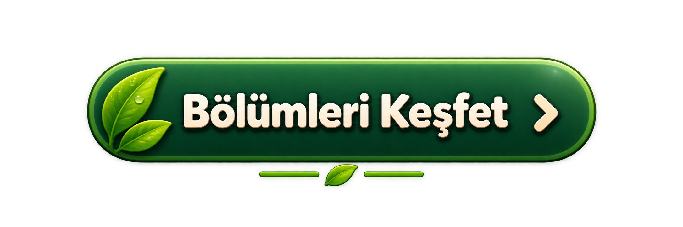 Bölümleri keşfet